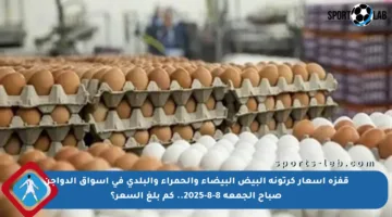 قفزة أسعار كرتونة البيض البيضاء والحمراء والبلدي في أسواق الدواجن صباح الجمعة 8-8-2025.. كم بلغ السعر؟